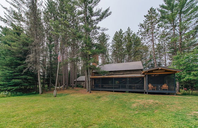 Uncle Tom's 3BDR Cabin For Nature Lover - Photo 63