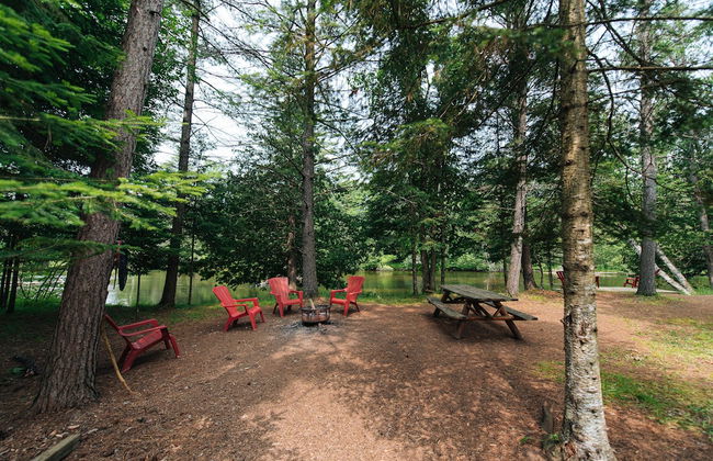 Uncle Tom's 3BDR Cabin For Nature Lover - Photo 80