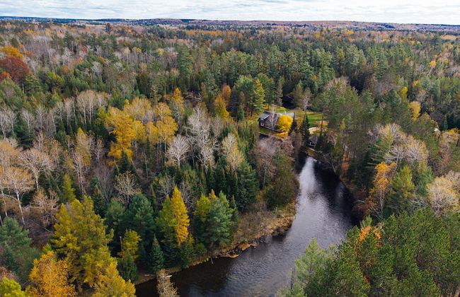 Uncle Tom's 3BDR Cabin For Nature Lover - Photo 70