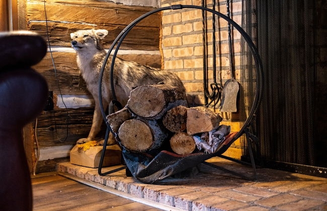 Uncle Tom's 3BDR Cabin For Nature Lover - Photo 44