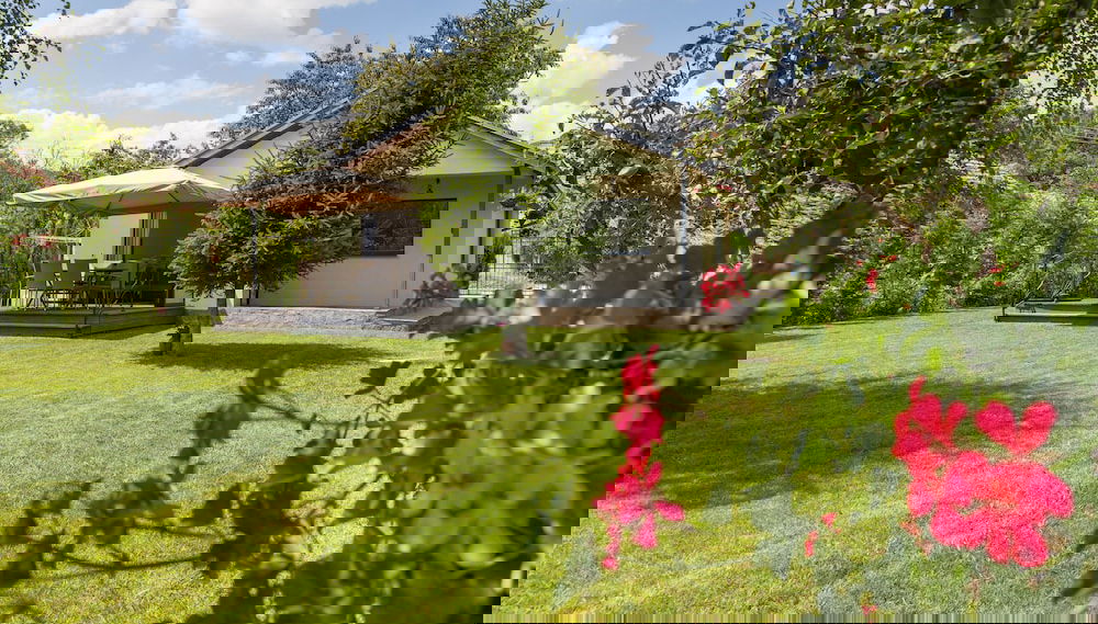 Image principale