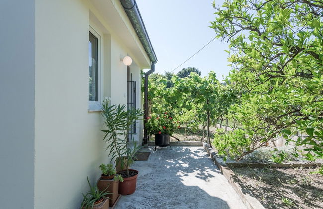 Beachfront Apartment With Balcony and Parking - Photo 21