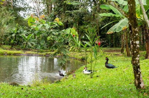 Foto 39 - Villa el Bosque La Fortuna