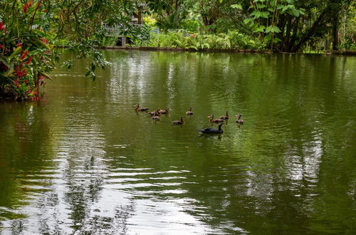 Foto 37 - Villa el Bosque La Fortuna