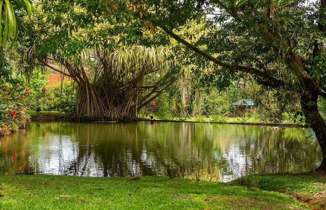 Villa el Bosque La Fortuna - Foto 21