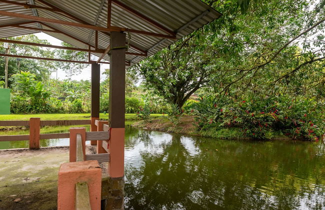 Villa el Bosque La Fortuna - Foto 38