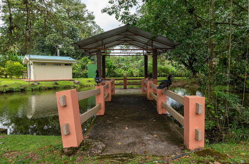 Photo 36 - Villa el Bosque La Fortuna