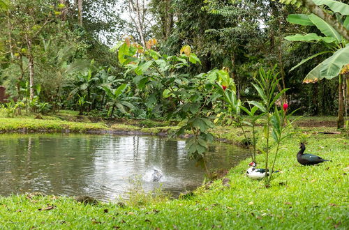 Foto 35 - Villa el Bosque La Fortuna