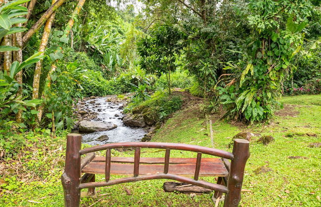 Villa el Bosque La Fortuna - Foto 23