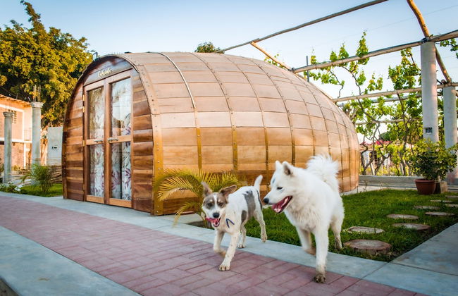 Glamping Toneles y Viñedos - Foto 29