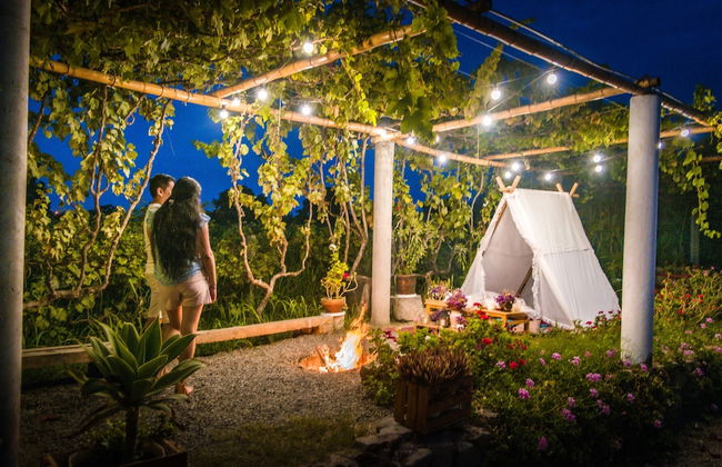 Glamping Toneles y Viñedos - Foto 27