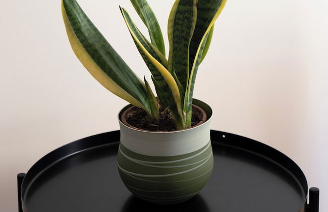 Appartamento Vittoria - Foto 23