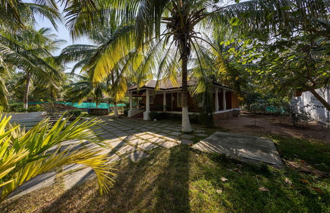 Coconest Eco village pollachi - Foto 5