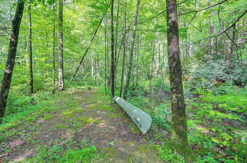 Photo 23 - Rosman Vacation Rental w/ Charcoal Grill