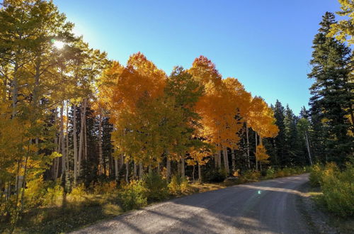 Photo 7 - Family Home w/ Patio: Visit San Juans & Telluride