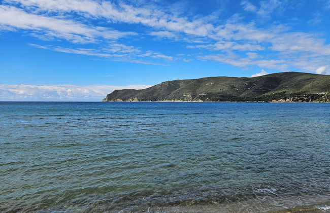 Camping Lacona Pineta - Foto 12