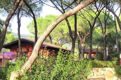 Photo 12 - Camping Lacona Pineta