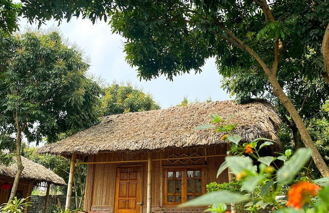 Ninh Binh bamboo - Foto 2