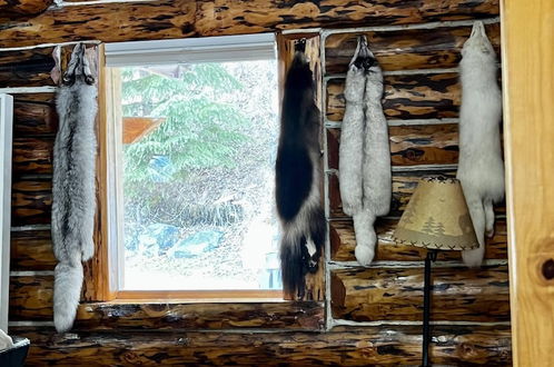 Photo 80 - Indian Cabin Close to Alyeska