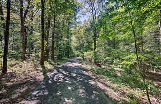 Foto 3 - Cabin by Hiking+hunting, 14 Mi to Hersheypark