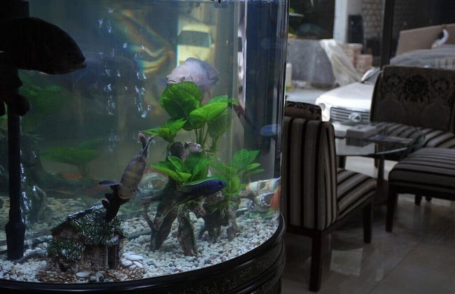 HAVEN TOWER - Photo 15