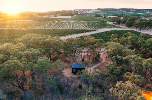 Foto 15 - CABN Off Grid Cabins Barossa