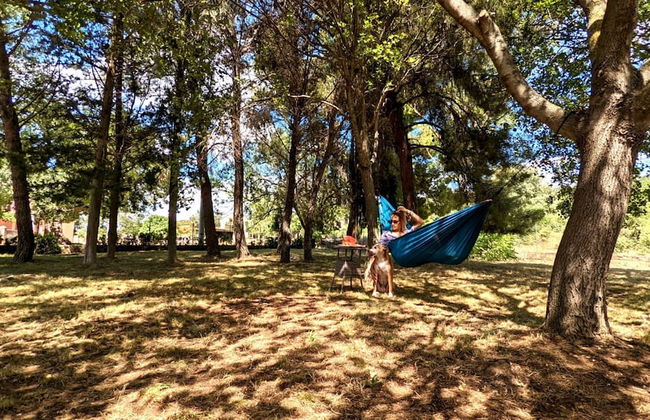 Holiday Home Jaga - Photo 25