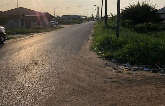 Logerthine Jan Suriname - Photo 6