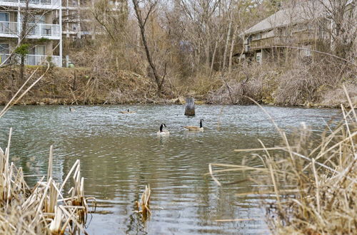 Photo 22 - Pond View Escape