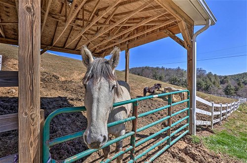 Photo 14 - Appalachian Boone Horse Ranch Retreat w/ Mtn Views