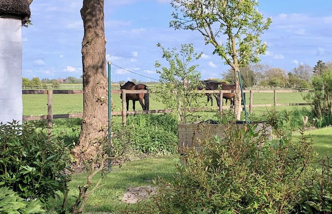 FRIESENKATE AM SEEDEICH - Foto 36