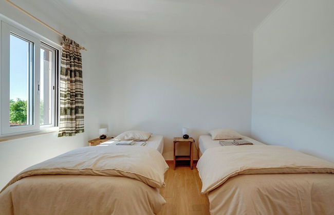 Quinta Coelho - Foto 7