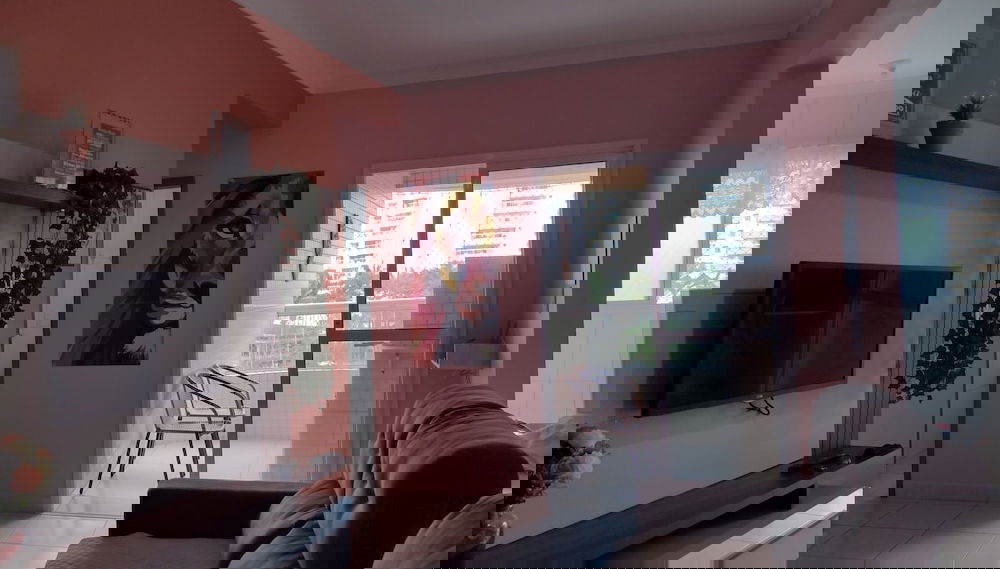 Imagem principal