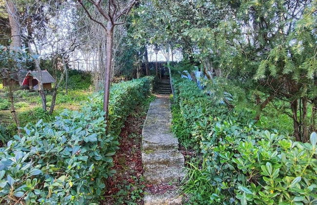 Rickymary House, Pet Friendly - Foto 25