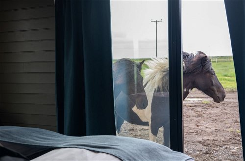 Photo 4 - Sleeping with the Horses
