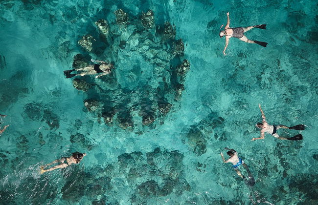 BASK GILI MENO - Foto 67