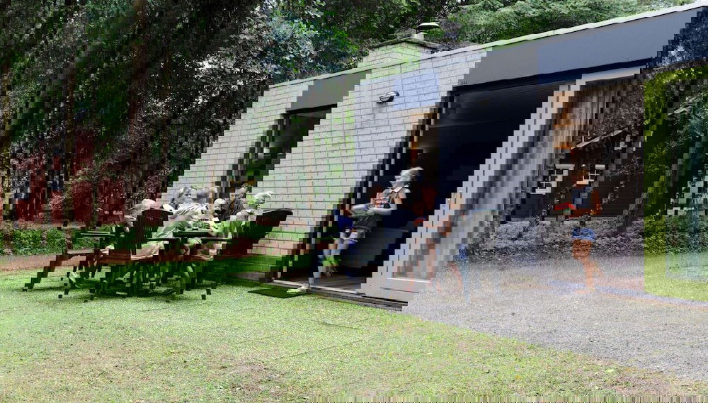 Imagem principal