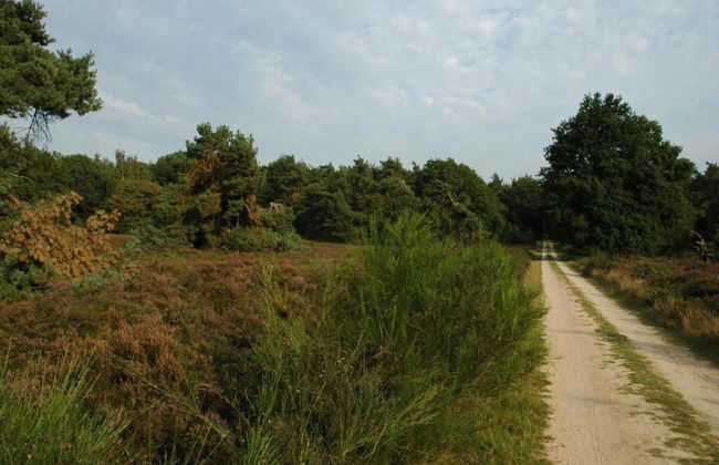 Terraced Home in Voorthuizen Near Veluwe - Foto 37