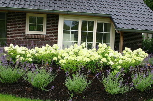 Foto 16 - Amazing Villa in Hellendoorn With Garden