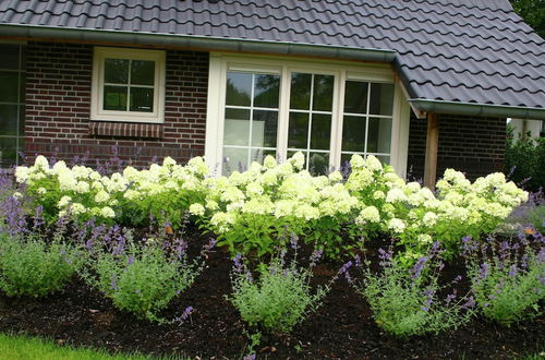 Photo 15 - Amazing Villa in Hellendoorn With Garden