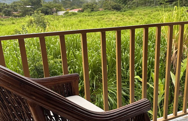 La Fortuna - Foto 40