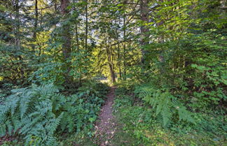 Photo 2 - Mysty Mountain Cabin on River 15mi to Stevens Pass