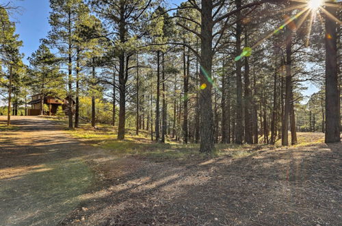 Photo 16 - Secluded Flagstaff Apt on 4 Acres w/ Spacious Deck