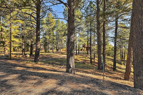 Foto 6 - Secluded Flagstaff Apt on 4 Acres w/ Spacious Deck