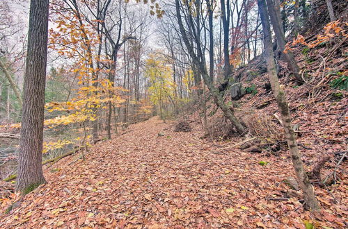 Photo 4 - Creekside Stoney Cabin w/ 180 Ft of River Frontage