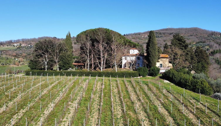 Photo 1 - Azienda agricola Frascole