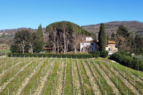 Photo 1 - Azienda agricola Frascole