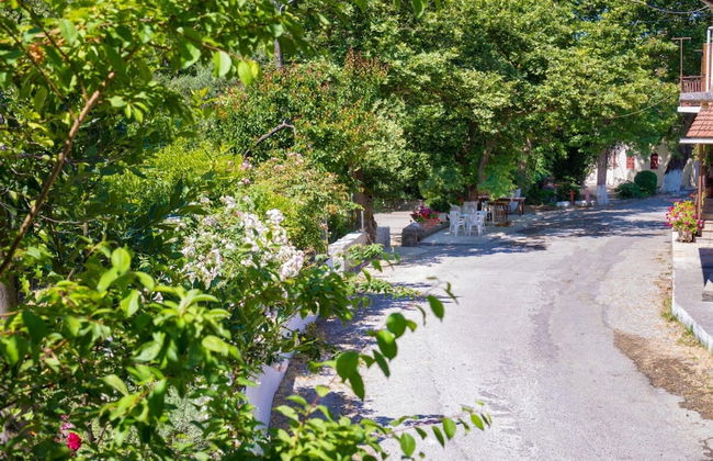Panethimos House in Nature - Foto 37