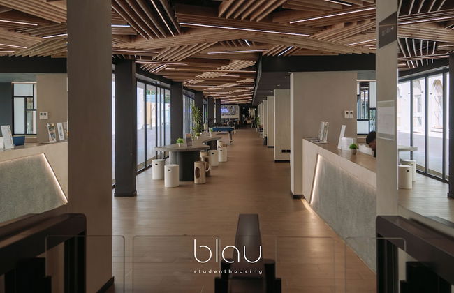 BLAU Student Housing & Language Academy - Foto 5