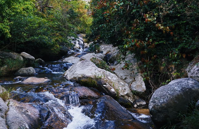 Du An Garden Retreat Forest - Foto 20